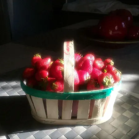 La Bastide Anne Gæstehus *