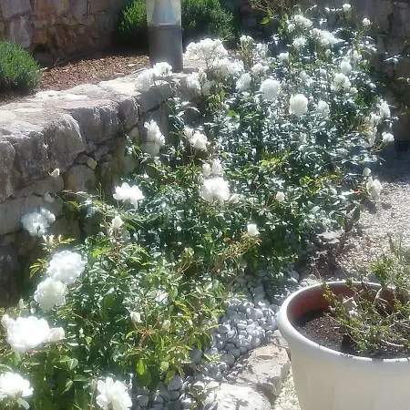 La Bastide Anne Maison d'hôtes Saint-Tropez