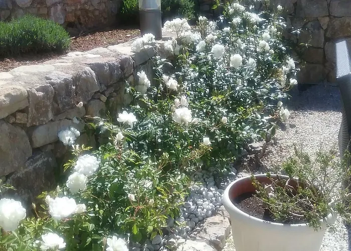 La Bastide Anne Guest house Saint-Tropez